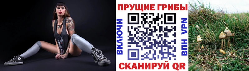 Галлюциногенные грибы Magic Shrooms Новохопёрск