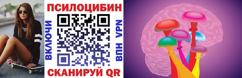 Галлюциногенные грибы Psilocybine cubensis Новохопёрск