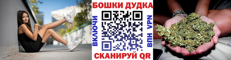 как найти закладки  Новохопёрск  Бошки марихуана Ganja 
